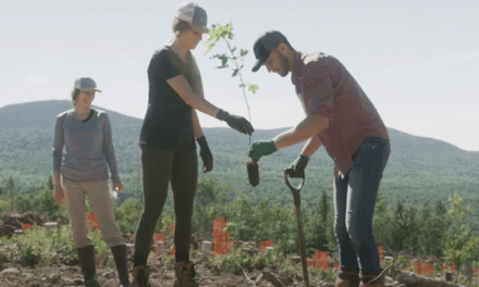 Evive Nutrition – Tree Planting