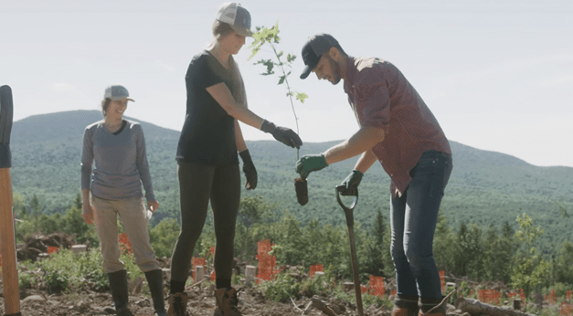 Evive Nutrition – Tree Planting