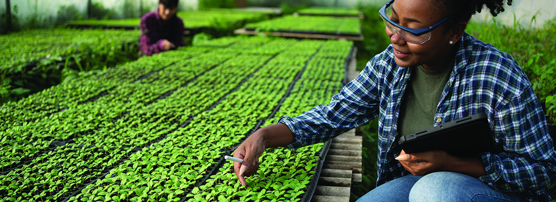 Industry Charting Path to Renewable Propane