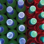 Stocked, Chilled, and Trending: What’s in Your Cooler?